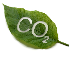 CO2 besparing kan door spouwmuurisolatie. Je bespa...