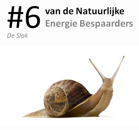 #6 van de natuurlijke energie bespaarders: de slak